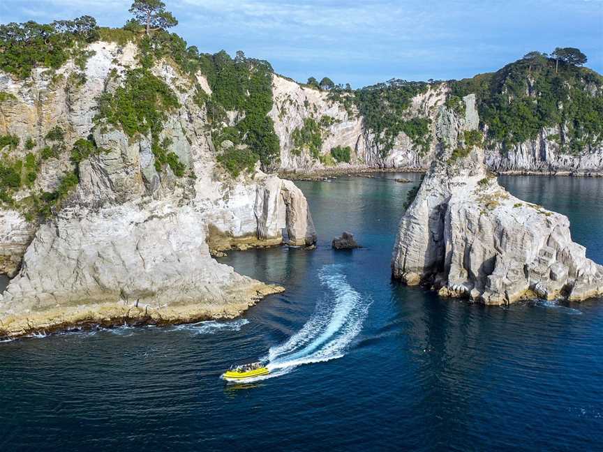 Ocean Leopard Tours Cathedral Cove Boat Tour, Whitianga, New Zealand