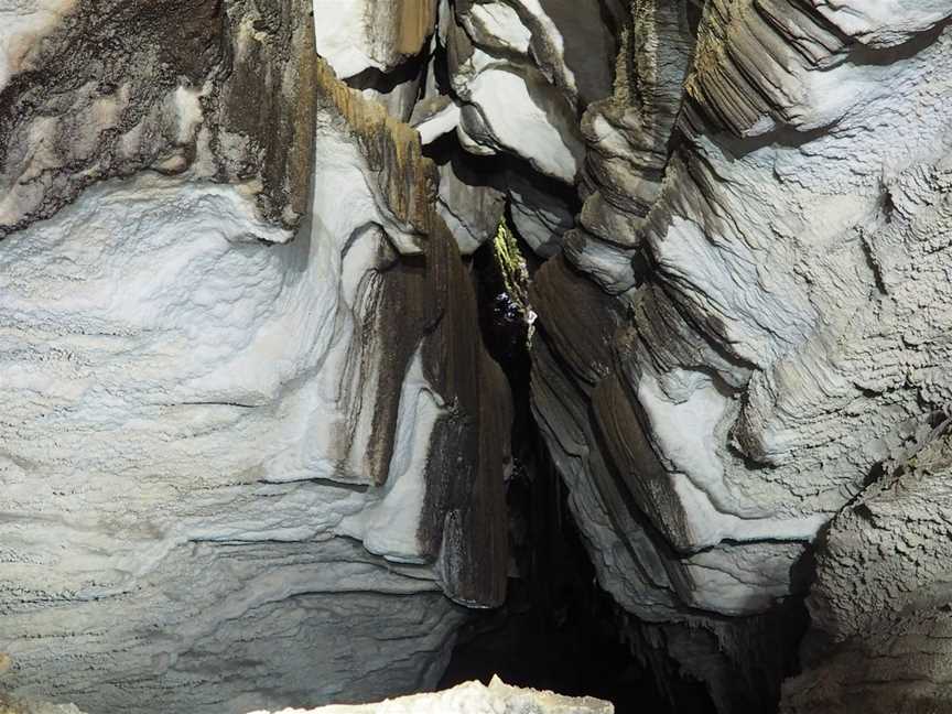 Oparara Kahurangi National Park Guided Tours, Karamea, New Zealand