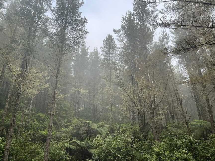 Planet Bike - Day Tours, Rotorua, New Zealand