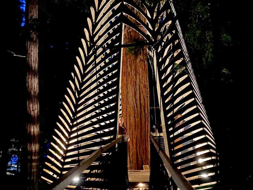 Redwoods Treewalk, Rotorua, New Zealand