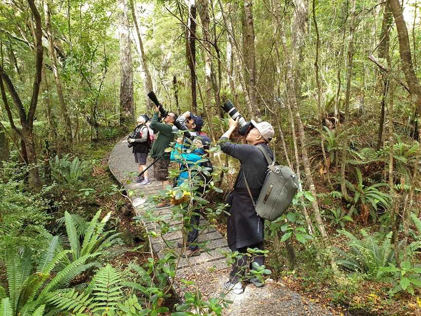 Ruggedy Range Wilderness Experience, Stewart Island, New Zealand