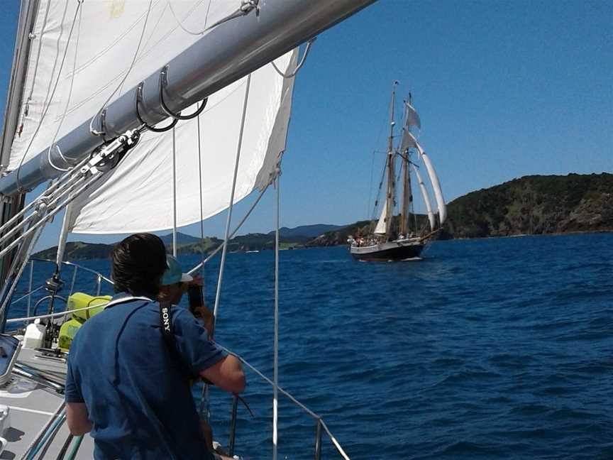 She's a Lady Sailing Adventures, Bay of Islands, New Zealand