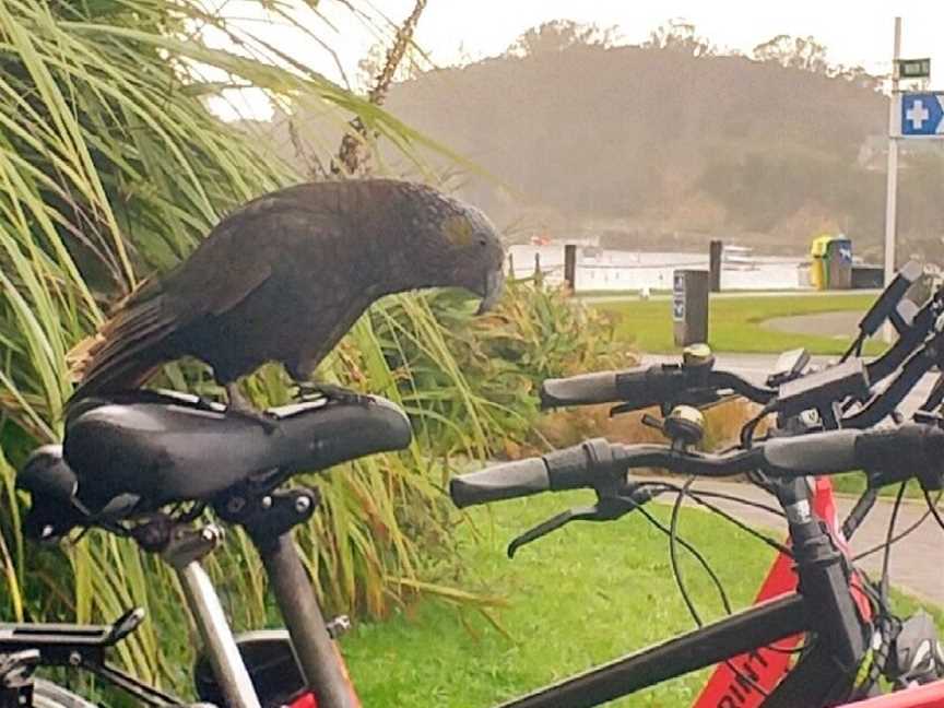 Stewart Island Electric Bikes, Stewart Island, New Zealand