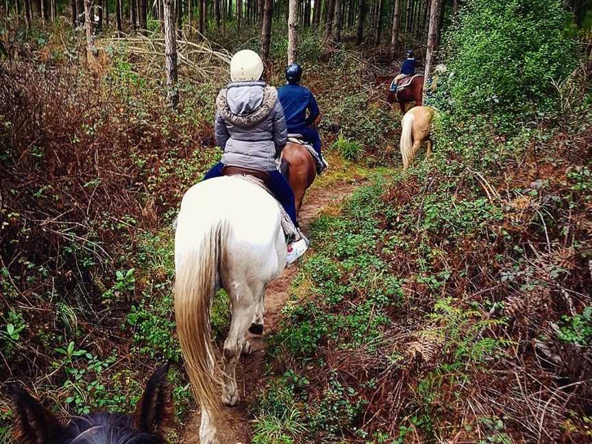 Taupo Horse Treks, Taupo, New Zealand