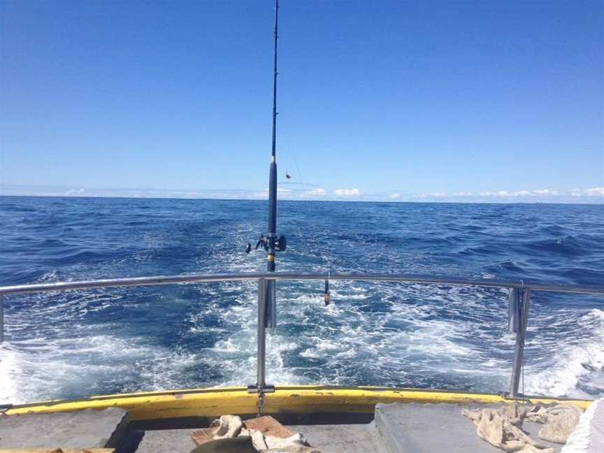 Tauranga Marine Charters, Tauranga, New Zealand