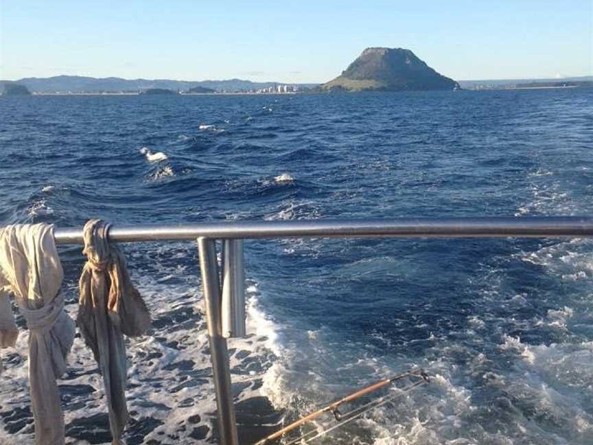 Tauranga Marine Charters, Tauranga, New Zealand