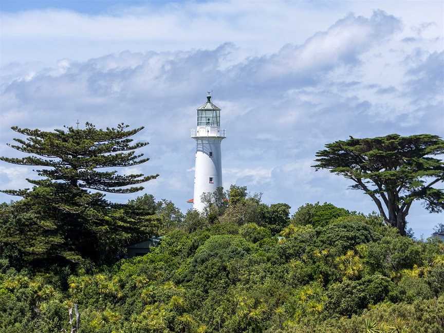 Wrybill Birding Tours, NZ - Day Tours, Napier, New Zealand