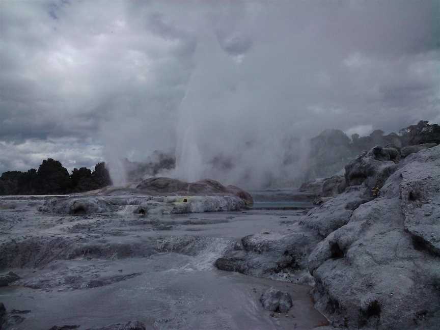 Zealandier Tours, Tauranga, New Zealand