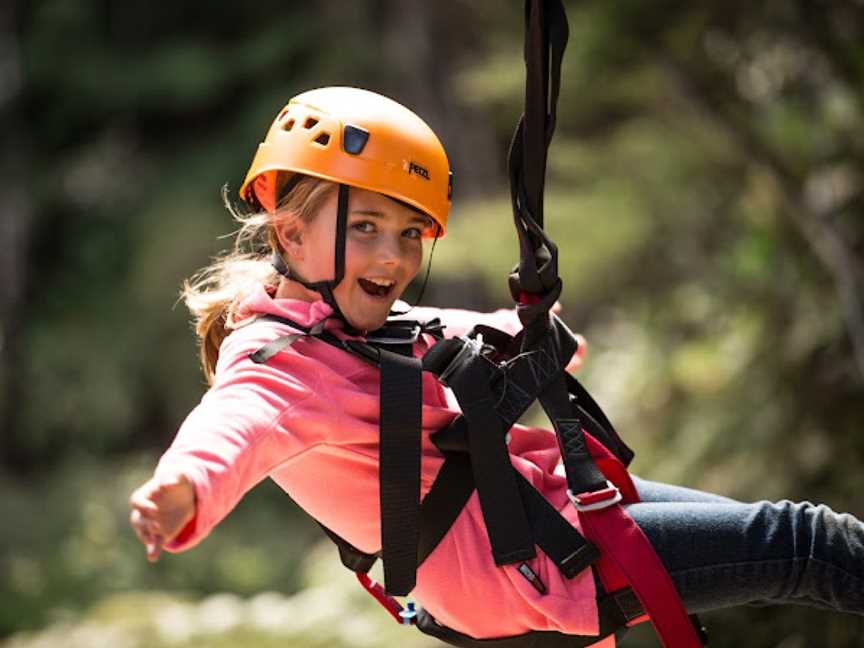 Coromandel Zipline Tours, Coromandel, New Zealand