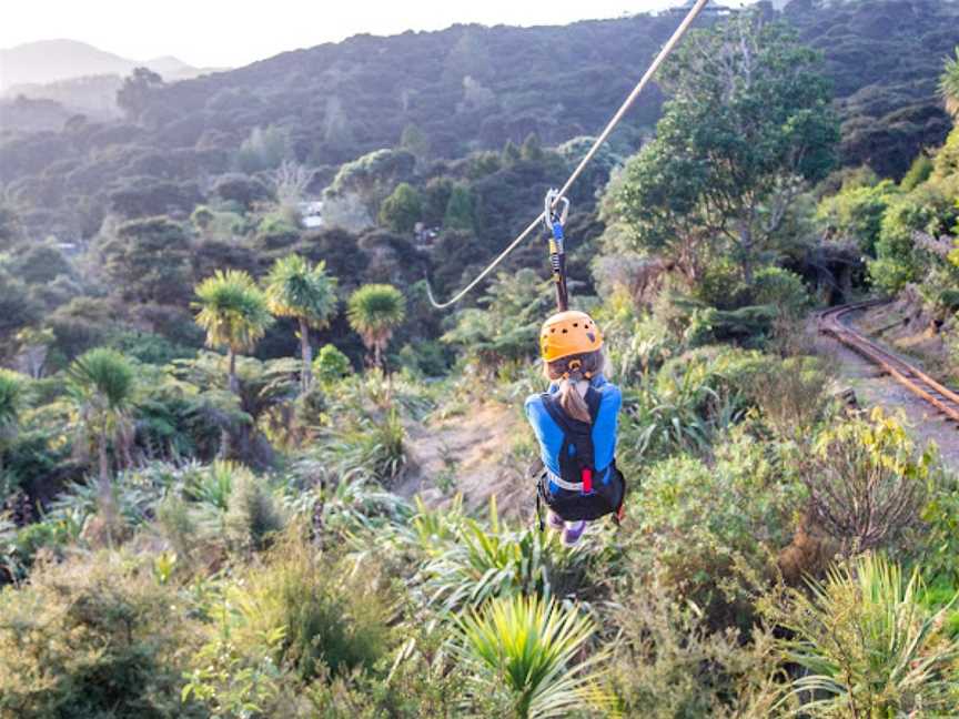 Coromandel Zipline Tours, Coromandel, New Zealand