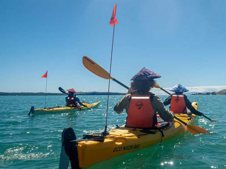 Waiheke Island Sea Kayak Tour, Tours in Auckland