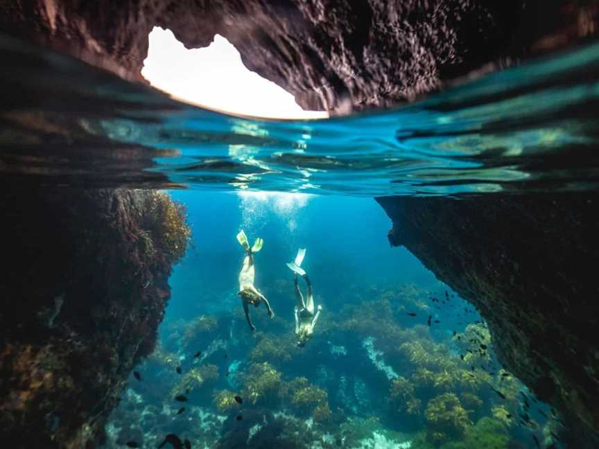 Guided Snorkeling Tours Auckland, Tours in Auckland