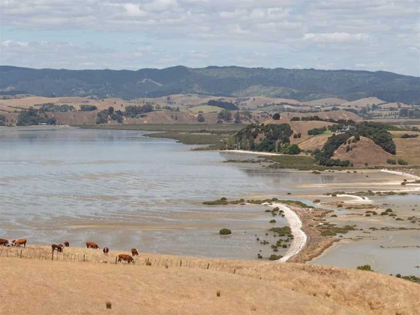 Duder Regional Park walking tours, Tours in Auckland