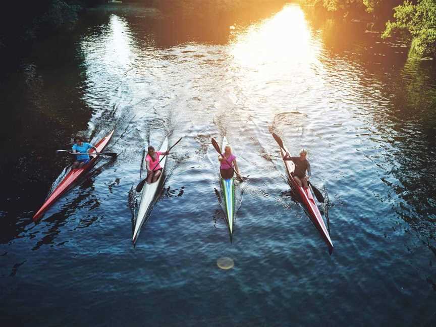 Sunrise Tours, Tours in Auckland