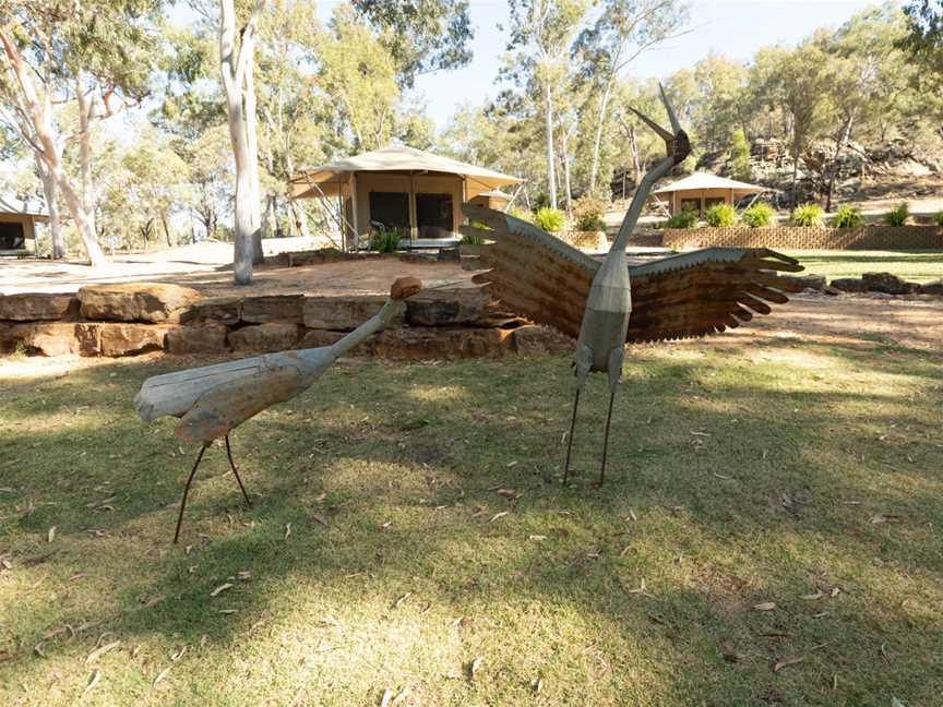 Glamping tents at Wallaroo Station