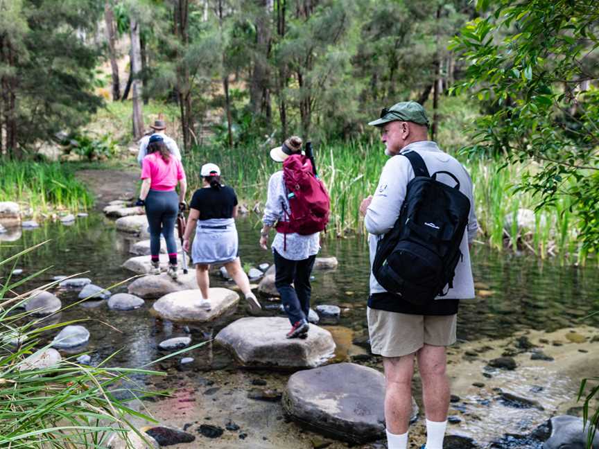 Carnarvon Gorge Nature Walk creek crossing.