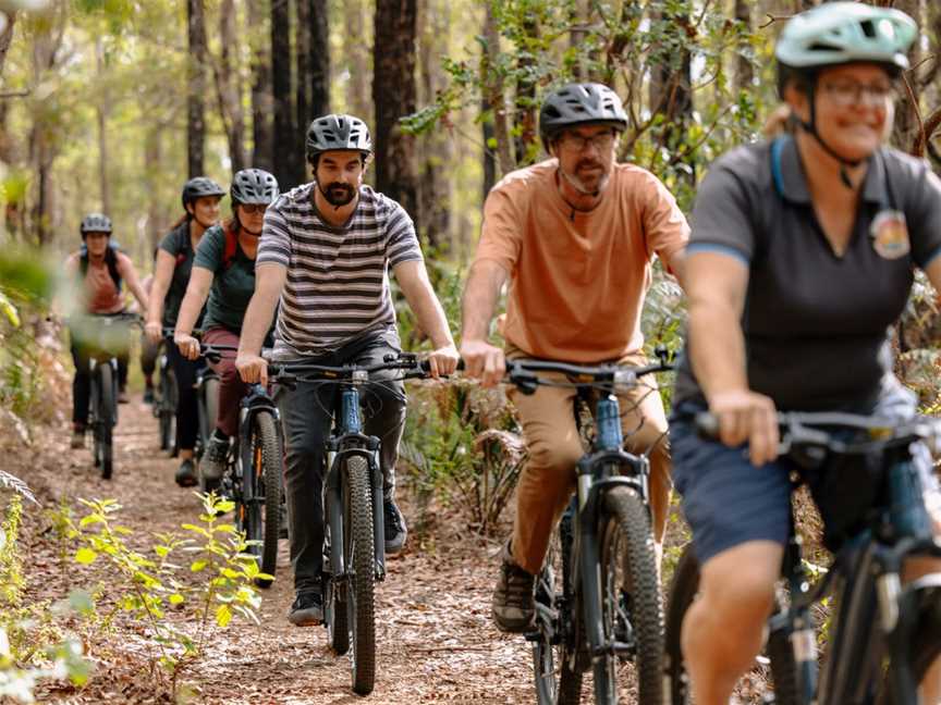 Pedal Assist E-Bike Tours Wellington National Park