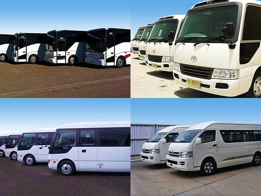 Sydney Bus & Coach Hire, Tours in Homebush