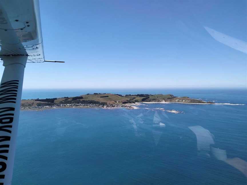 Whale Watch Flights | Air Kaikoura, Tours in Peketa