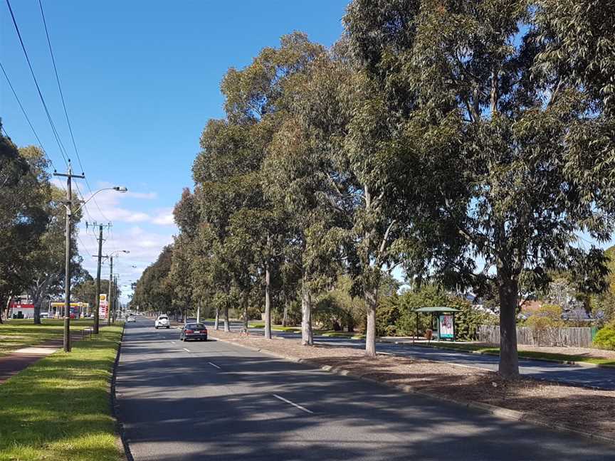 Manning Road approaching Waterford Plaza.jpg