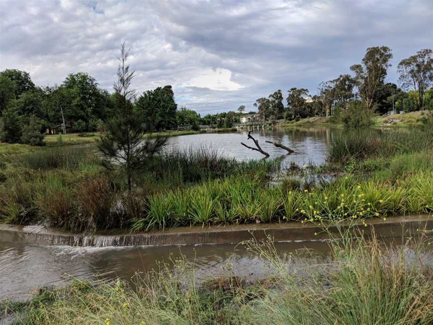 Lyneham Wetlands, Canberra 2017 1.jpg