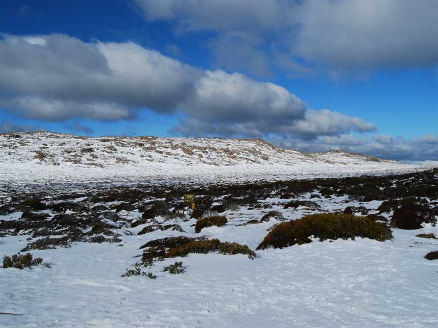 Ben Lomondsnowfields