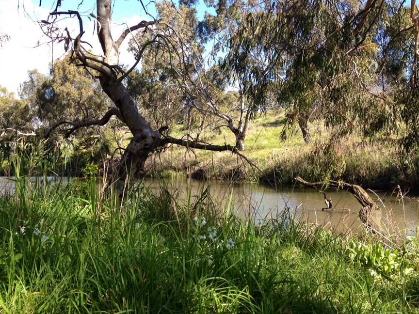 Darteron Kororoit Creek CAlbion