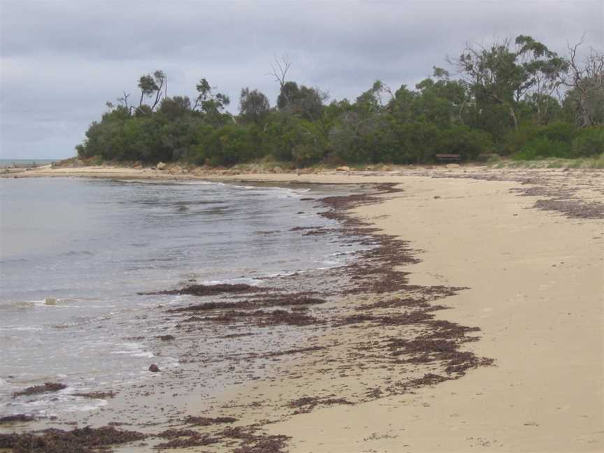 Balnarring Beach CVictoria CAustralia