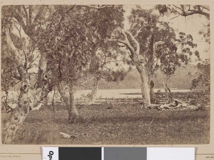 Harcourt Reservoir.Mount Alexander78 Miles N.N.W.from Melbourne