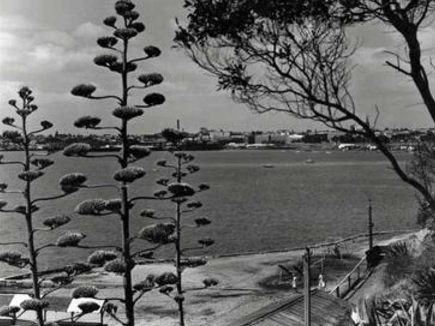 Rippleside geelong waterfront.jpg