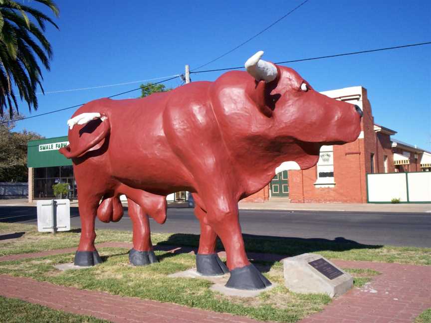 Mallee Bull Birchip