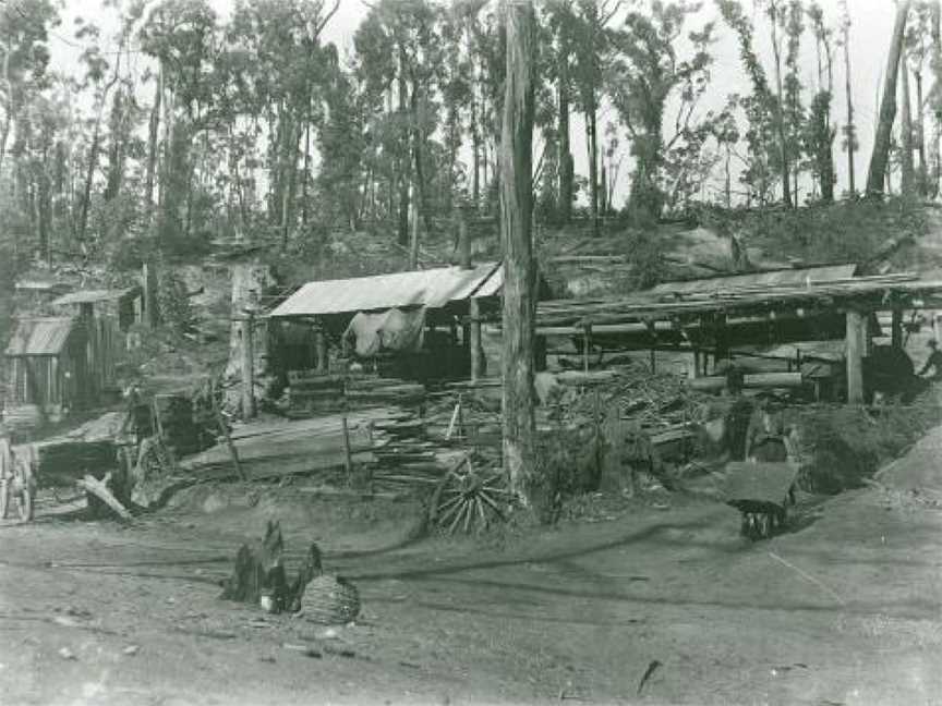 Yinnar South Grants Saw Mill1908