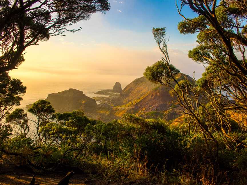 Cape schanck looking towards pulpit rock at dawn.jpg