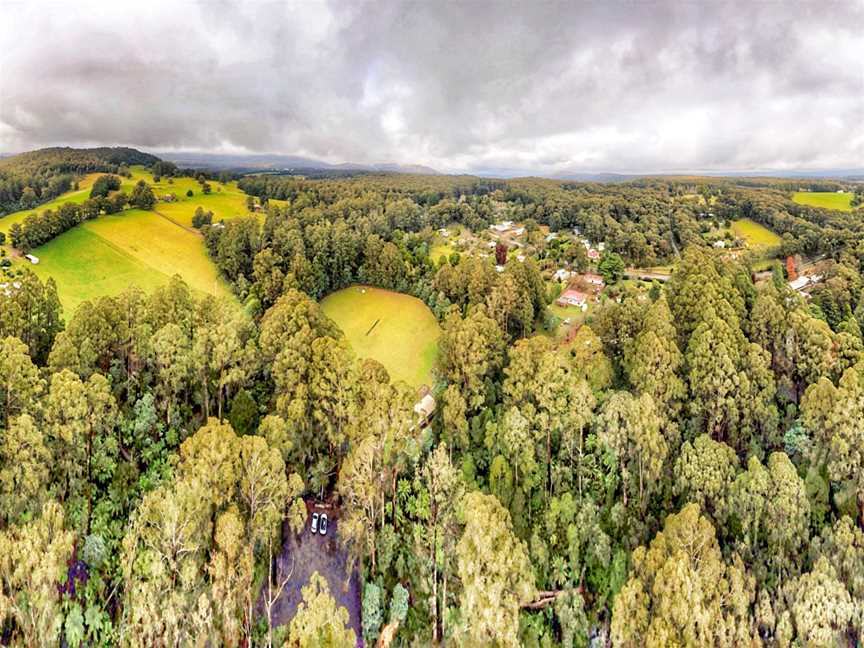 Toolangi State Forest June2020panorama