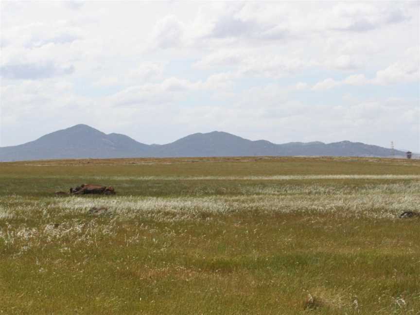 You-yangs-victoria-australia.jpg