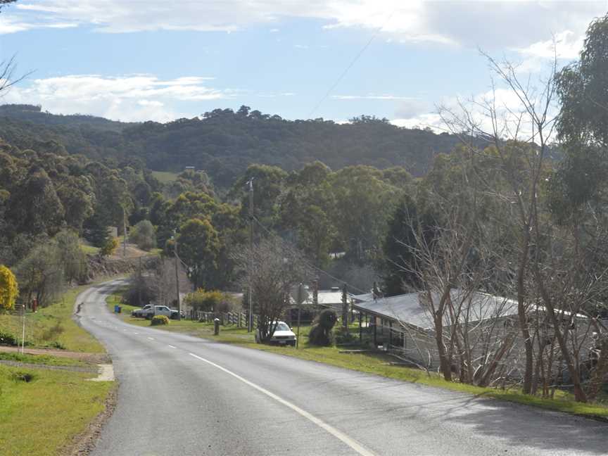 Reedy Creek Main Street.JPG