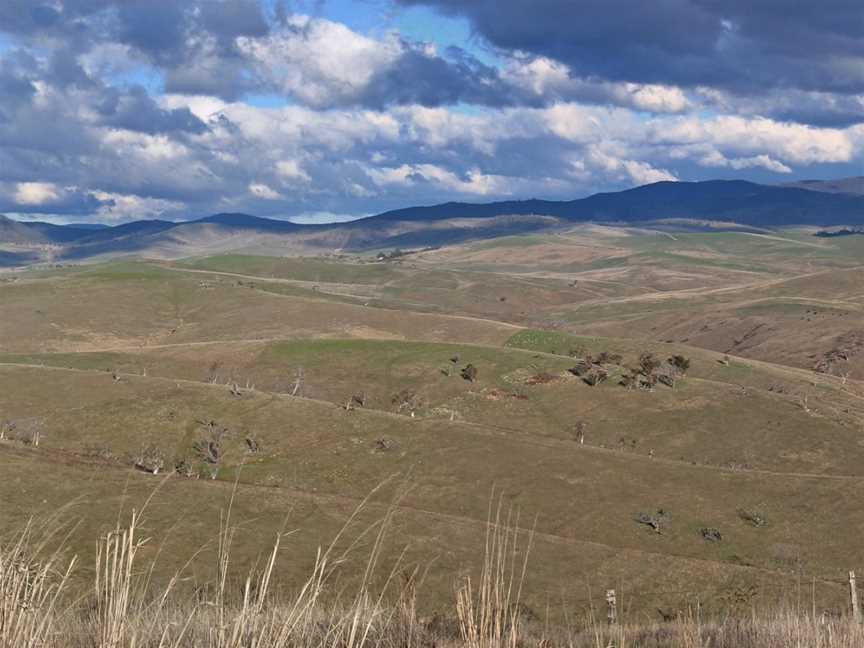 Benambra& Omeo Plainsfrom Mt Blowhard