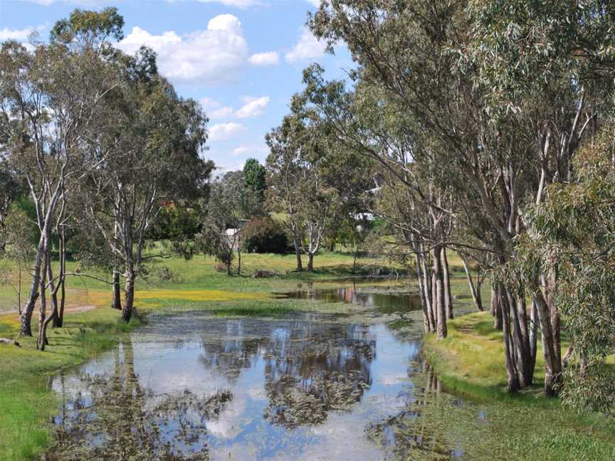 Wannon River Cavendish