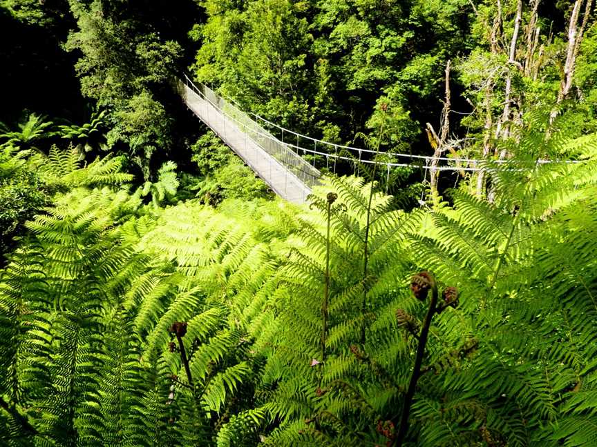 Tarra Bulga Natl Park