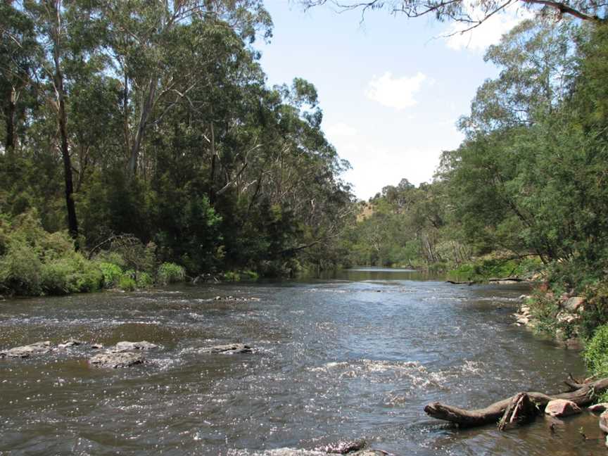 Yarra River Wonga Park.jpg