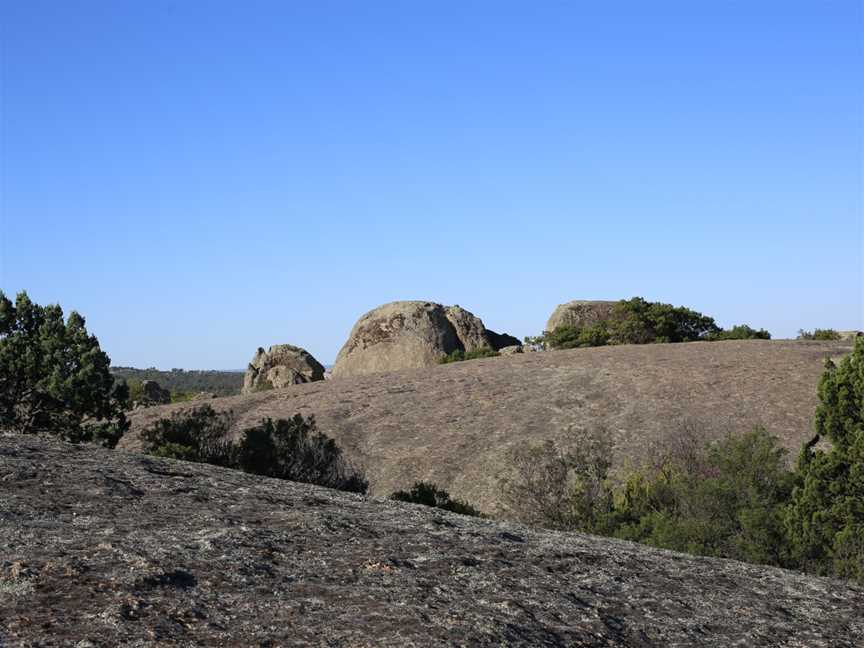 Terrick Terrick National Park (31717810683).jpg