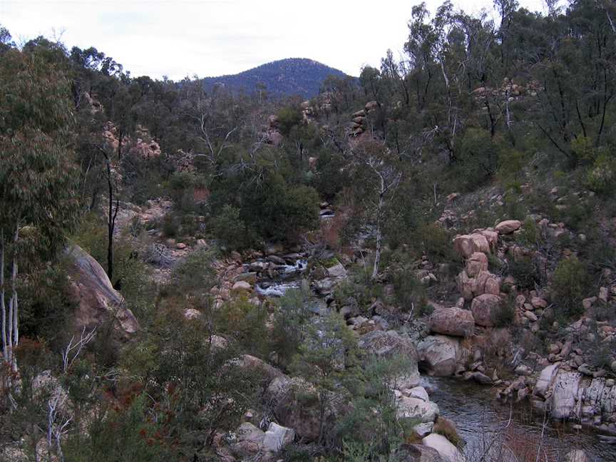 Bundara River upstream near Anglers Rest, Vic, jjron, 6.06.2009.jpg