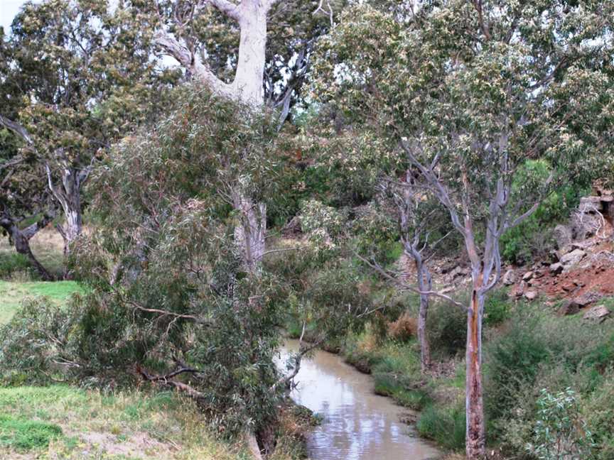 Melton South Toolern Creek