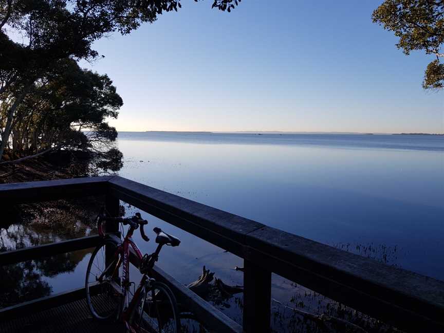 Moreton Bay Morning