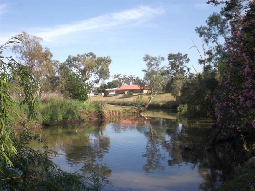 Oakey Creekat Oakey