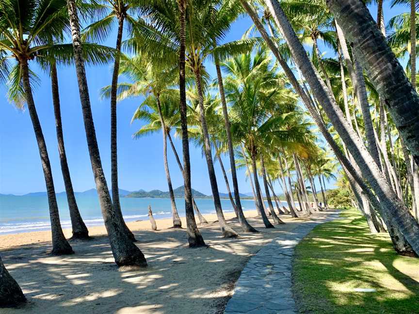 Palm trees at Palm Cove Beach, Queensland, 2020, 03.jpg