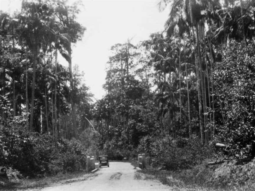 StateLibQld 1 132452 Motor vehicle travelling along the North Coast Road, 1935.jpg