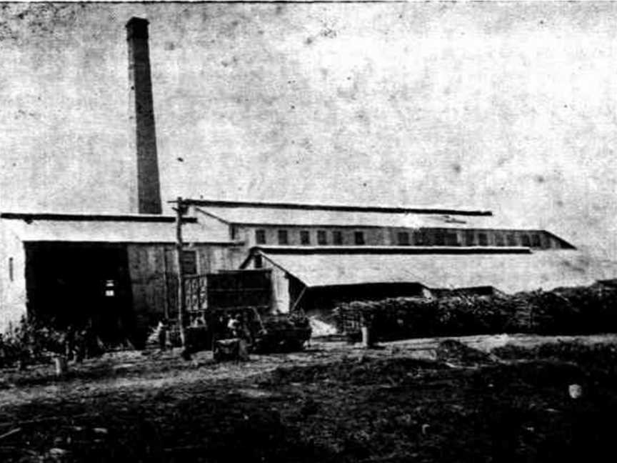 Kalamia Sugar Mill C1901