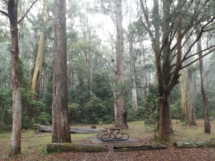 Apple Tree Park CSpringbrook CQueensland