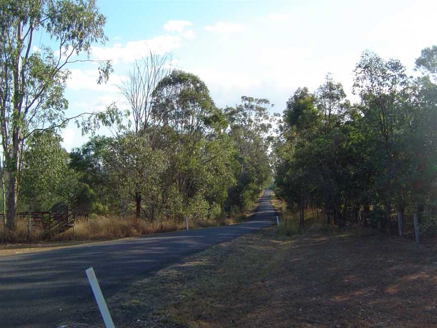 Beethams Road Ironbark.jpg